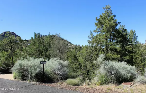 Prescott, AZ 86303,535 Lodge Trail Circle #20