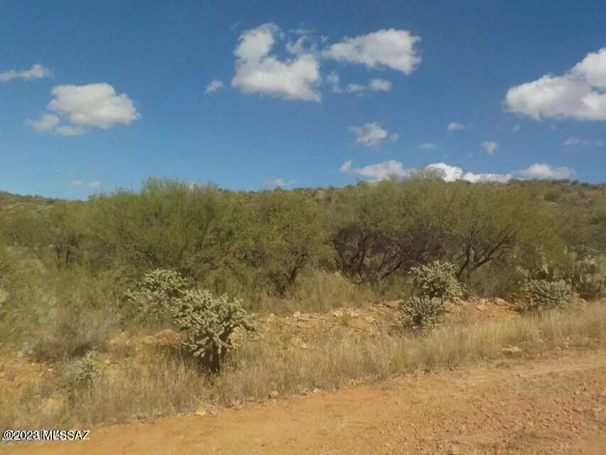 Rio Rico, AZ 85648,1546 Camino Bacalao  #69