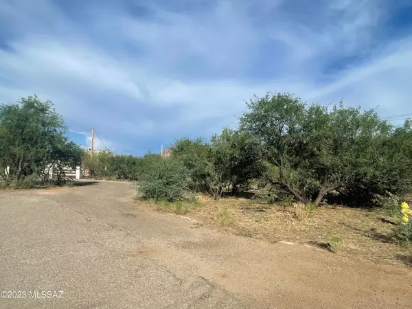 Rio Rico, AZ 85648,161 Loa Court #36