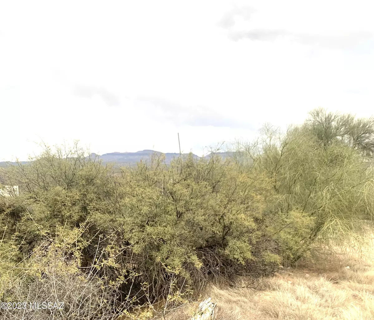 Mammoth, AZ 85618,TBD W Galiuro St  #0.79 Ac