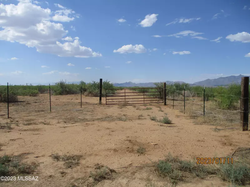 E Chambers Road, Willcox, AZ 85644