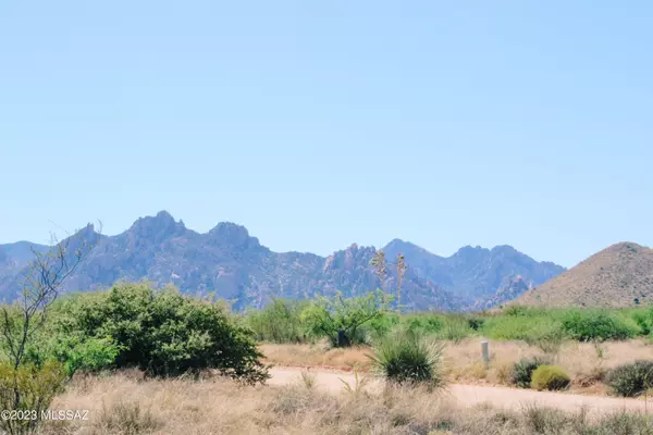 TBD E Diamondback Road  #157, St. David, AZ 85630