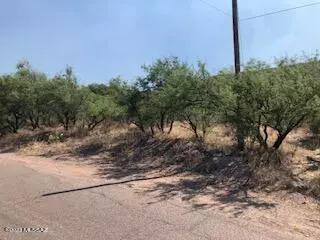 Rio Rico, AZ 85648,TBD Avenida Papalote  #58