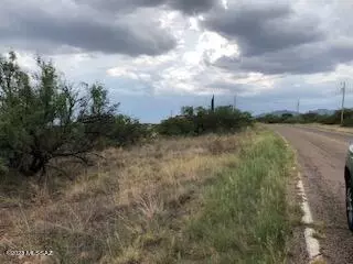 Rio Rico, AZ 85648,533 Camino Ramanote  #16