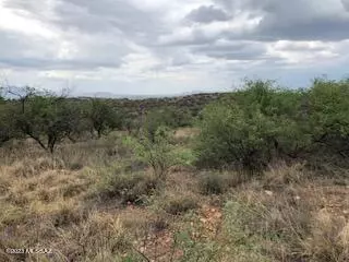 Rio Rico, AZ 85648,533 Camino Ramanote  #16