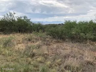 Rio Rico, AZ 85648,533 Camino Ramanote  #16