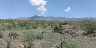 Rio Rico, AZ 85648,17C Camino Libertad