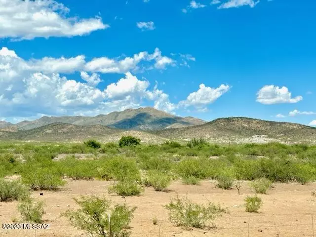 Silver Creek Ranch Lot 59  #59, Douglas, AZ 85607