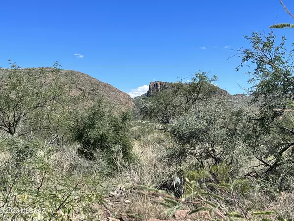 Tubac, AZ 85646,TBD Morning Star Drive #121