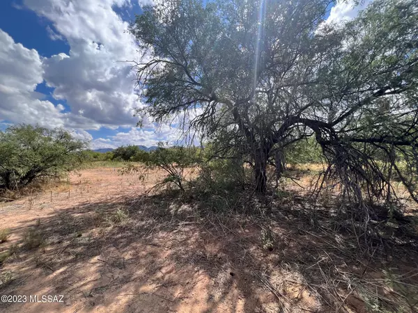 Pearce, AZ 85625,6.32 ac N Skyline Road #268