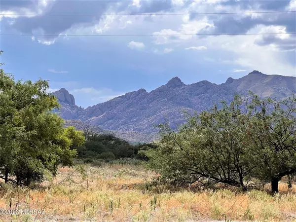 Pearce, AZ 85625,6.32 ac N Skyline Road #268