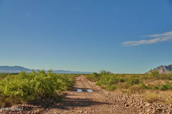 10.04 Acre S Mi Casita Lane  #19, Portal, AZ 85632