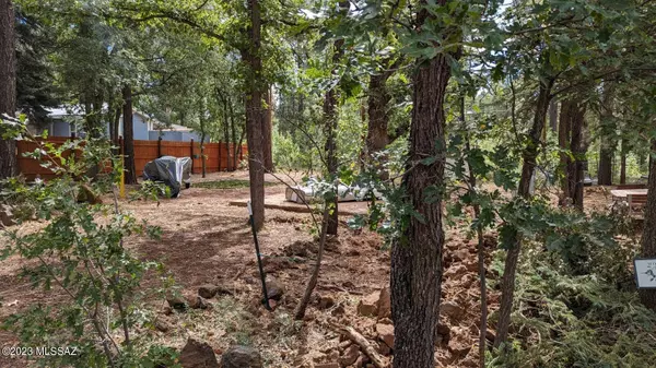 Pinetop, AZ 85935,5949 Jackrabbit Trail #14/1