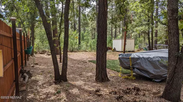 Pinetop, AZ 85935,5949 Jackrabbit Trail #14/1