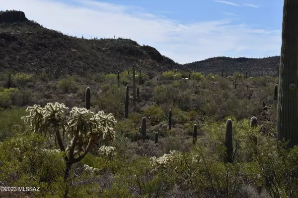 Tucson, AZ 85743,Yuma Mine Road