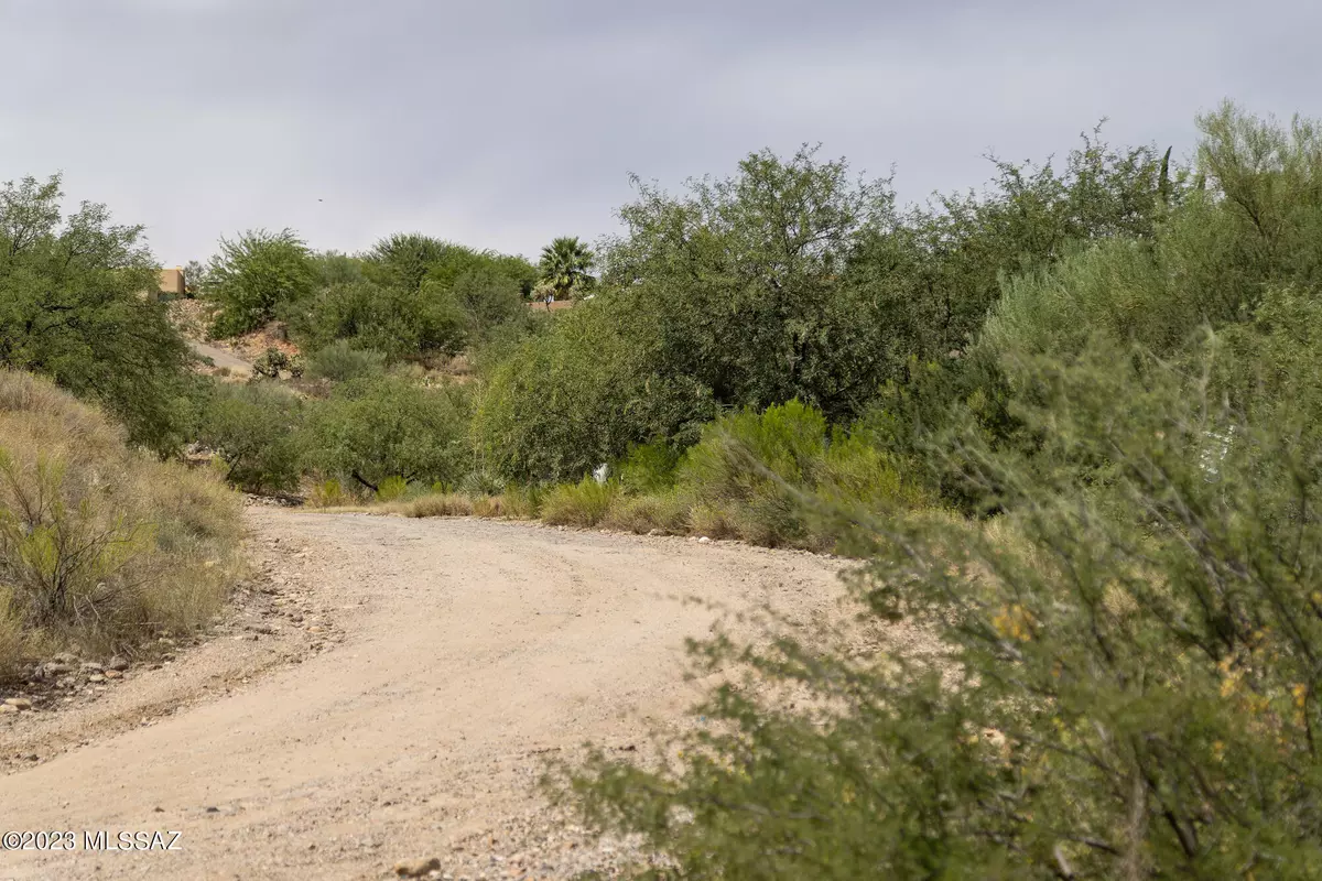 Tucson, AZ 85739,16321 N Lago Del Oro Parkway