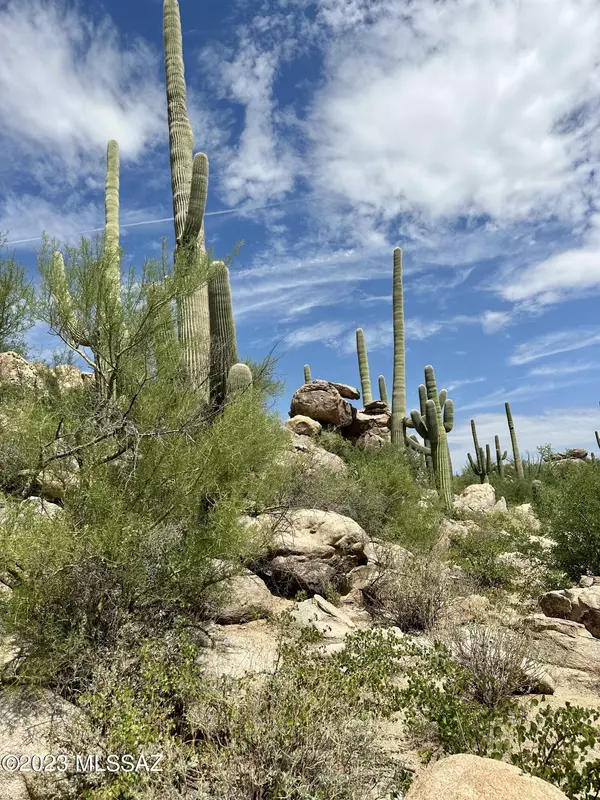 15004 N Slippery Ridge N Loop #410,  Oro Valley,  AZ 85755