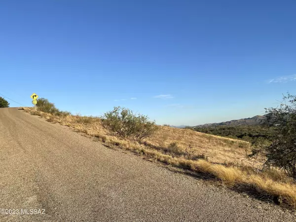 Rio Rico, AZ 85648,49 Camino Pesqueira  #21