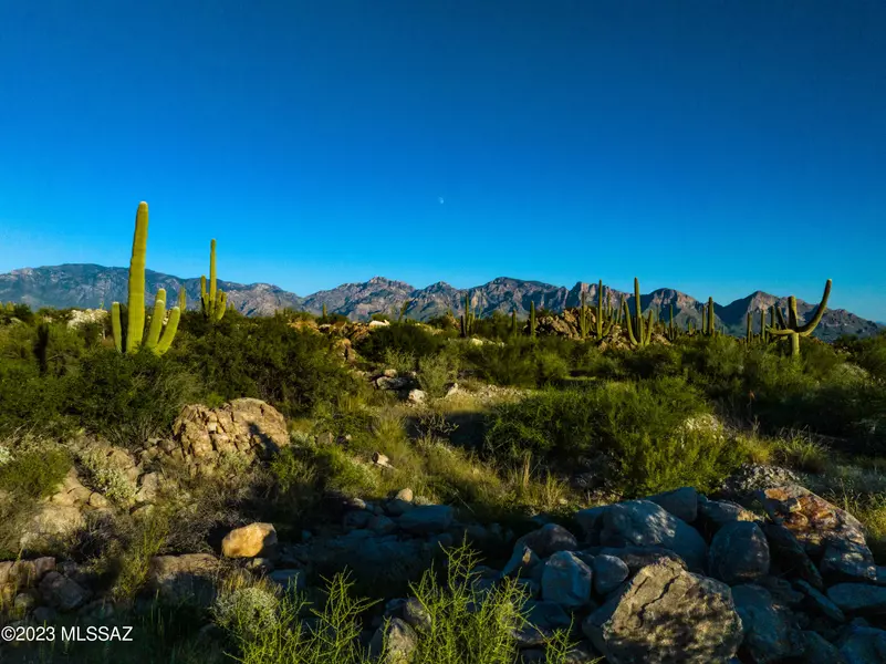 14980 N Slippery Ridge Loop #Lot 414, Tucson, AZ 85755