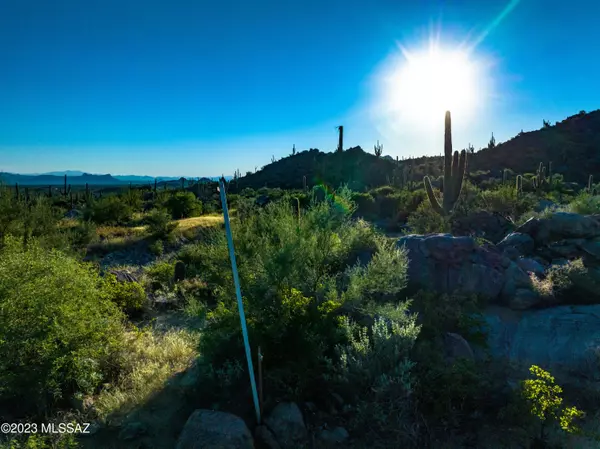 Tucson, AZ 85755,14980 N Slippery Ridge Loop #Lot 414