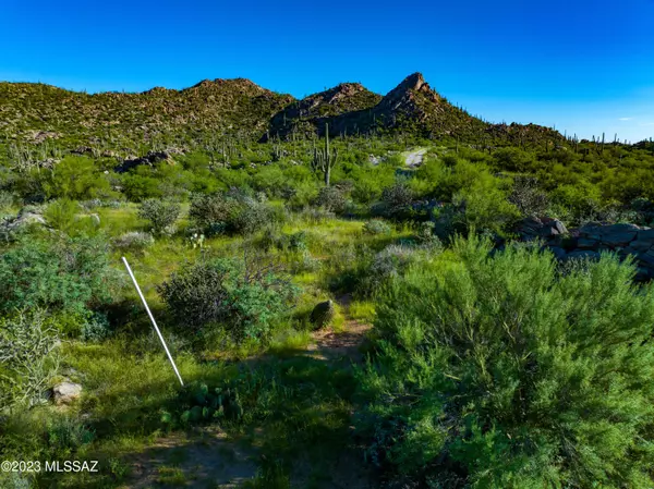 Tucson, AZ 85755,14958 N Slippery Ridge Loop #Lot 416