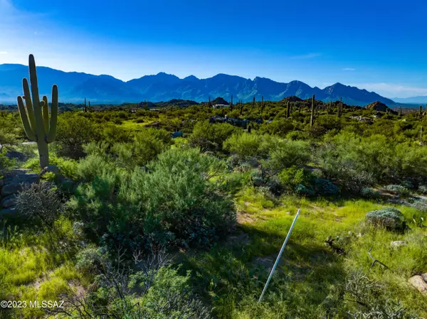 Tucson, AZ 85755,14958 N Slippery Ridge Loop #Lot 416