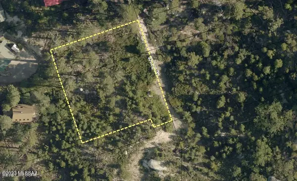 12831 N Ray Avenue #2, Mt. Lemmon, AZ 85619