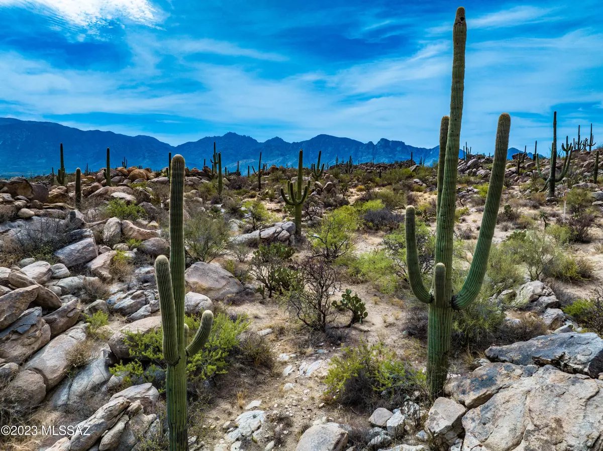 Oro Valley, AZ 85755,359 W Granite Gorge Drive #570