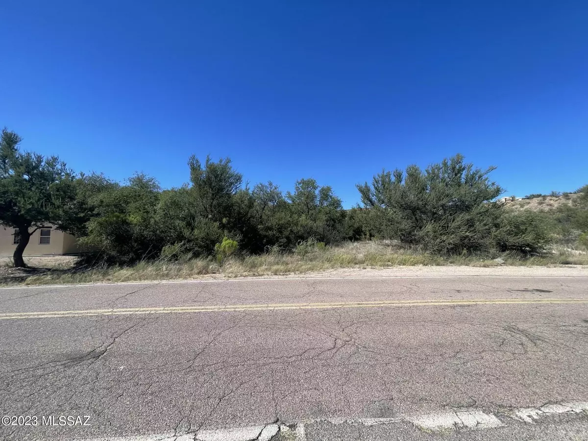 Rio Rico, AZ 85648,590 Peck Canyon Drive #1