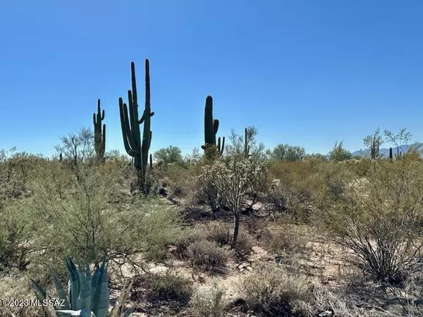 Tucson, AZ 85742,Saguaro Dream Trail  #2