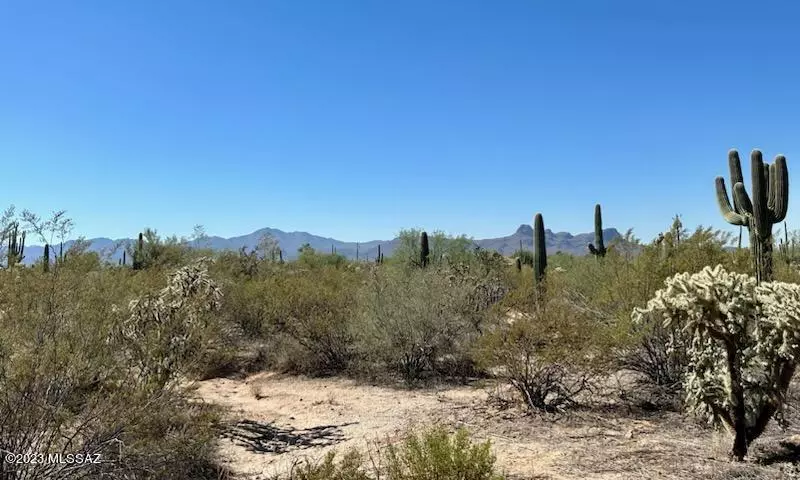 Tucson, AZ 85742,Saguaro Dream Trail  #2