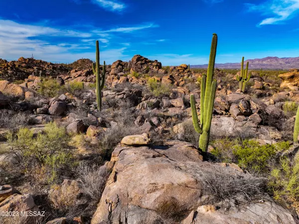 418 W Granite Gorge Drive #557, Oro Valley, AZ 85755