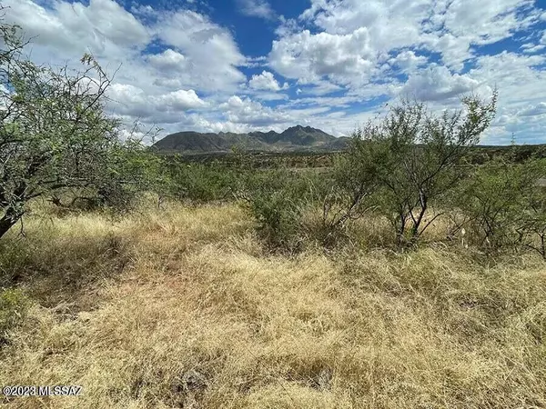 Rio Rico, AZ 85648,1814 Circulo Corona  #75