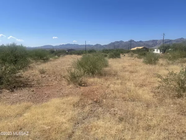 Rio Rico, AZ 85648,1780 Zimmer Court #Lot 23