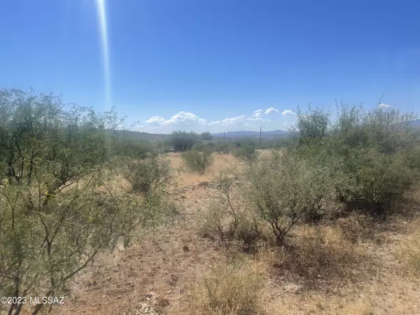 Rio Rico, AZ 85648,1780 Zimmer Court #Lot 23