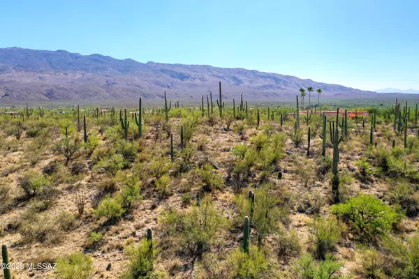 Tucson, AZ 85749,2510 N Avenida Sorgo  #97