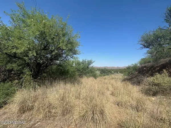 Patagonia, AZ 85624,TBD Red Rock #4