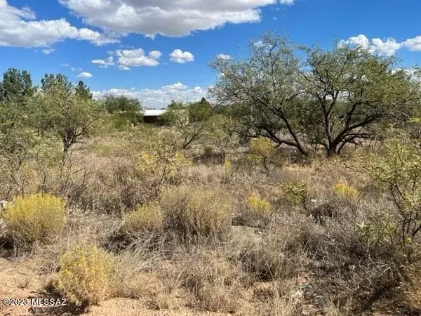 Benson, AZ 85602,TBD N Dove Song Lane #389