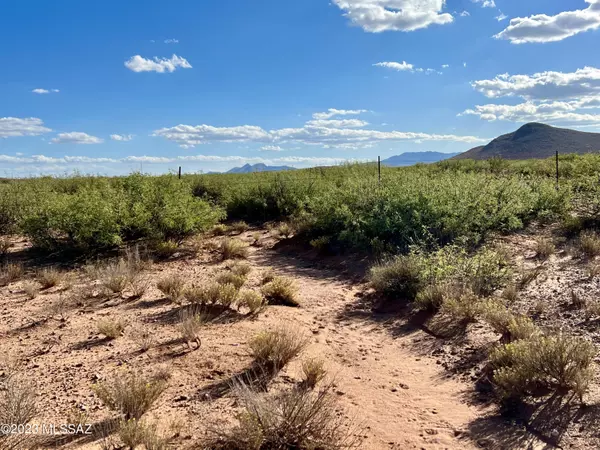 Pearce, AZ 85625,0 E Buck Ranch Road