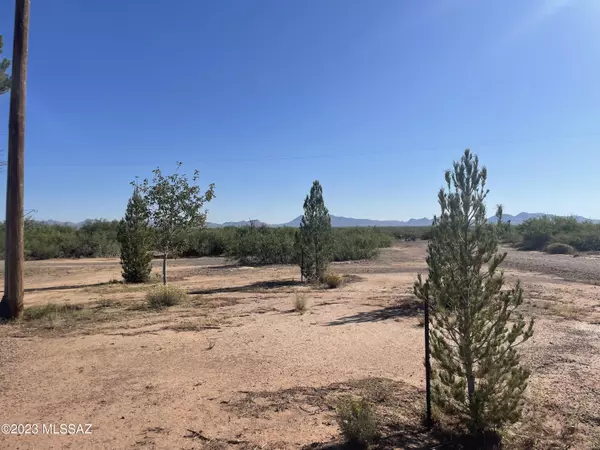 6228 N Kings Highway #N/A, Douglas, AZ 85607