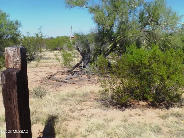 Marana, AZ 85653,E Brittle Brush Trail