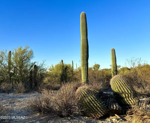 Tucson, AZ 85704,521 E Placita Cerro Amistoso  #382