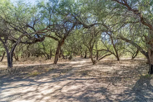 Benson, AZ 85602,12.63 acre Reddington/SanPedro River Rd  #0