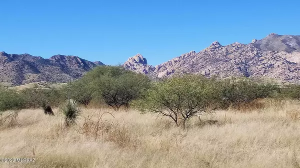 1 Acre W Quail Pass Drive #14, Pearce, AZ 85625