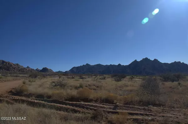 Pearce, AZ 85625,Lot 209 E Diamondback Road  #209