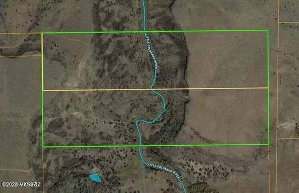 St. Johns, AZ 85936,TBD CO Rd 4008 40 Acres  #-