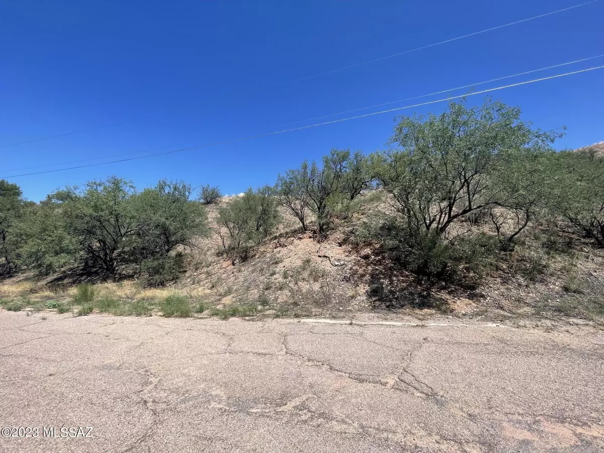 Rio Rico, AZ 85648,344 Nuevo Leon Court #20