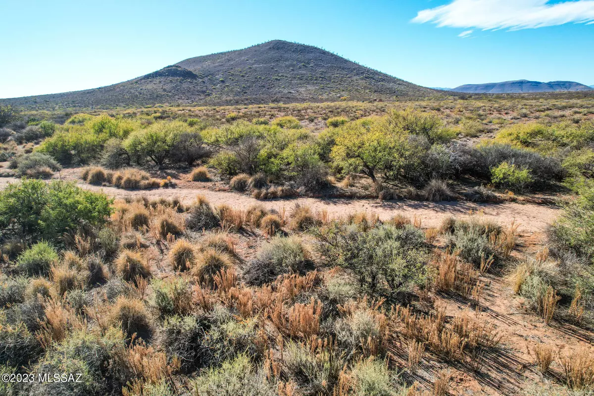 Elfrida, AZ 85610,Tbd 36 ac N Saddlebag Trail #42