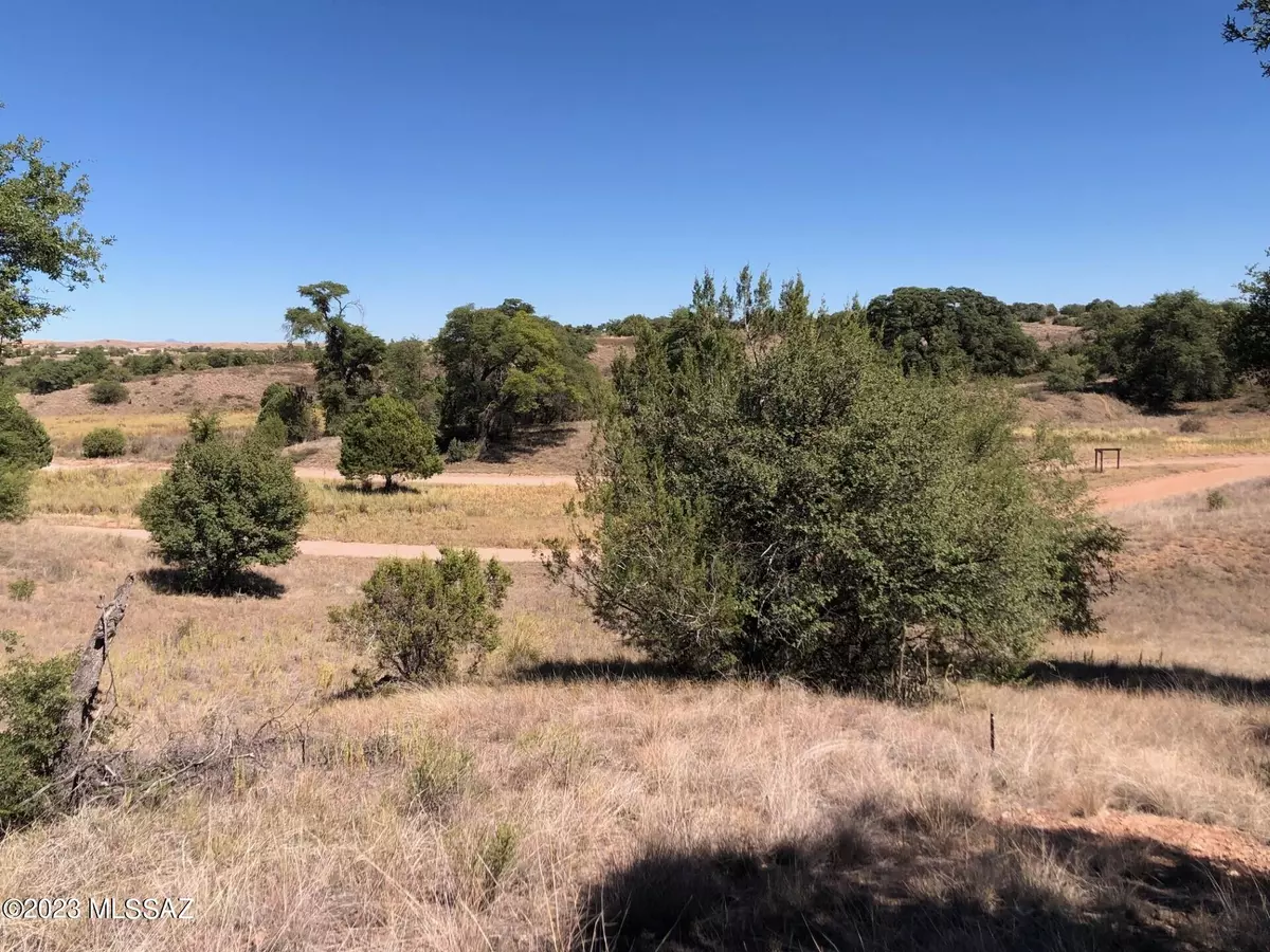 Sonoita, AZ 85637,TBD Franklin Lane #3