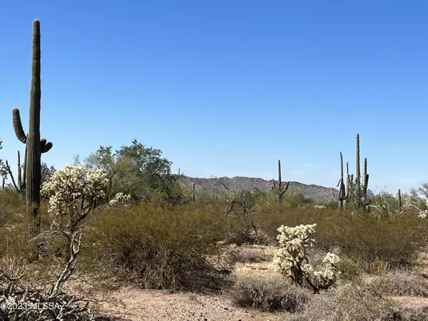 Marana, AZ 85658,31XXX S Cattle Tank Road